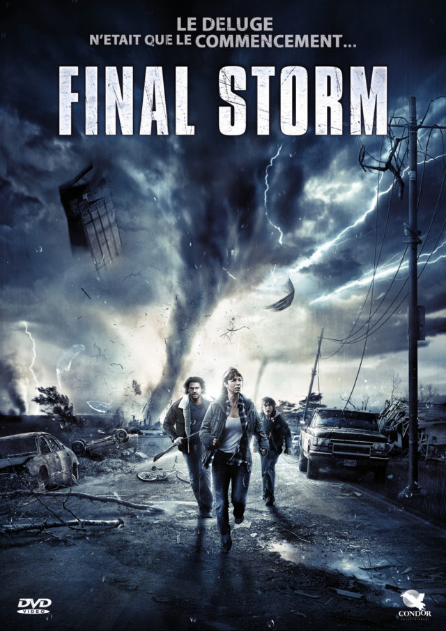 Affiche FINAL STORM