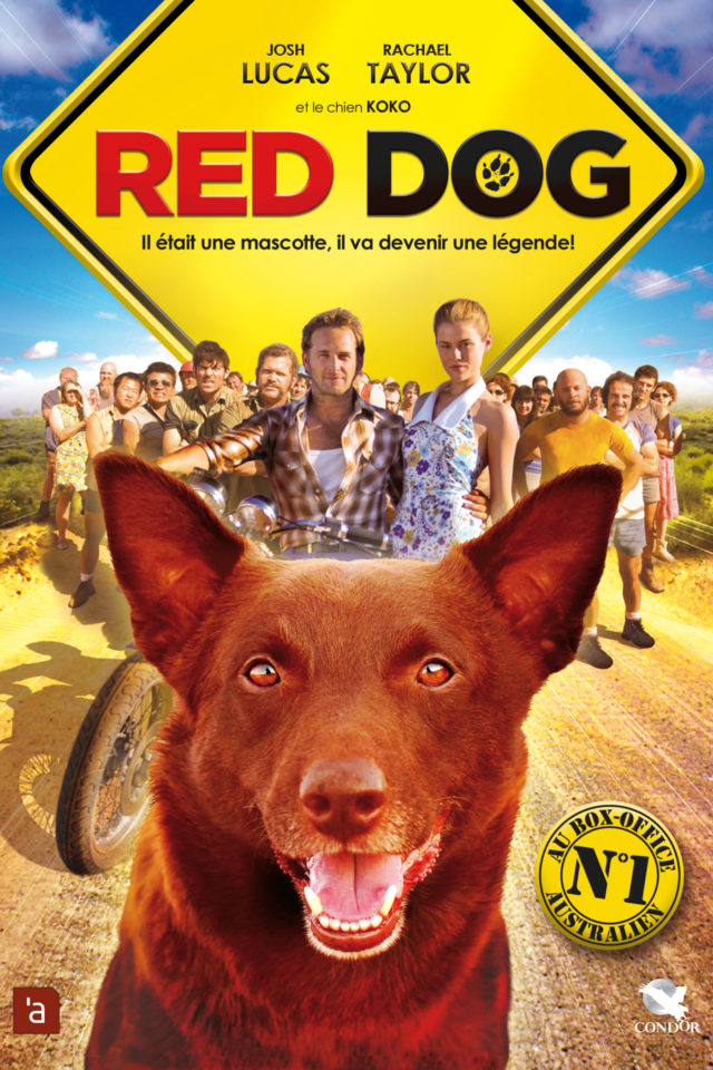 Affiche RED DOG