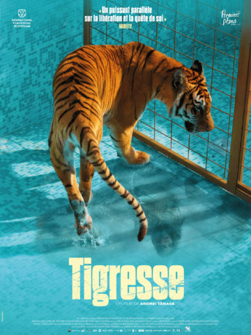 TIGRESSE